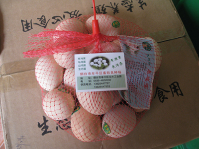 乌鸡蛋